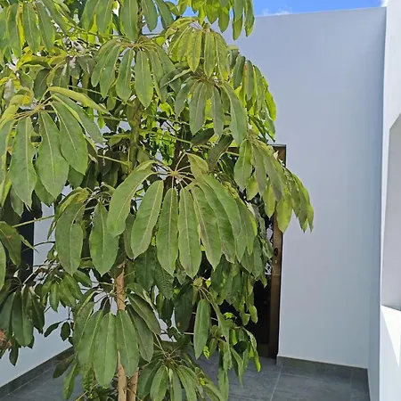 בית נופש Casa Jable *